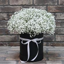 Цветочная композиция из Гипсофила в шляпной коробке #REPLACE_PRED# Большом Сорокино