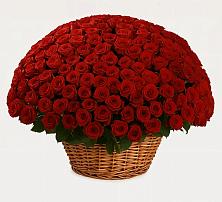 Премиум букет из: Розы в Большом Сорокино